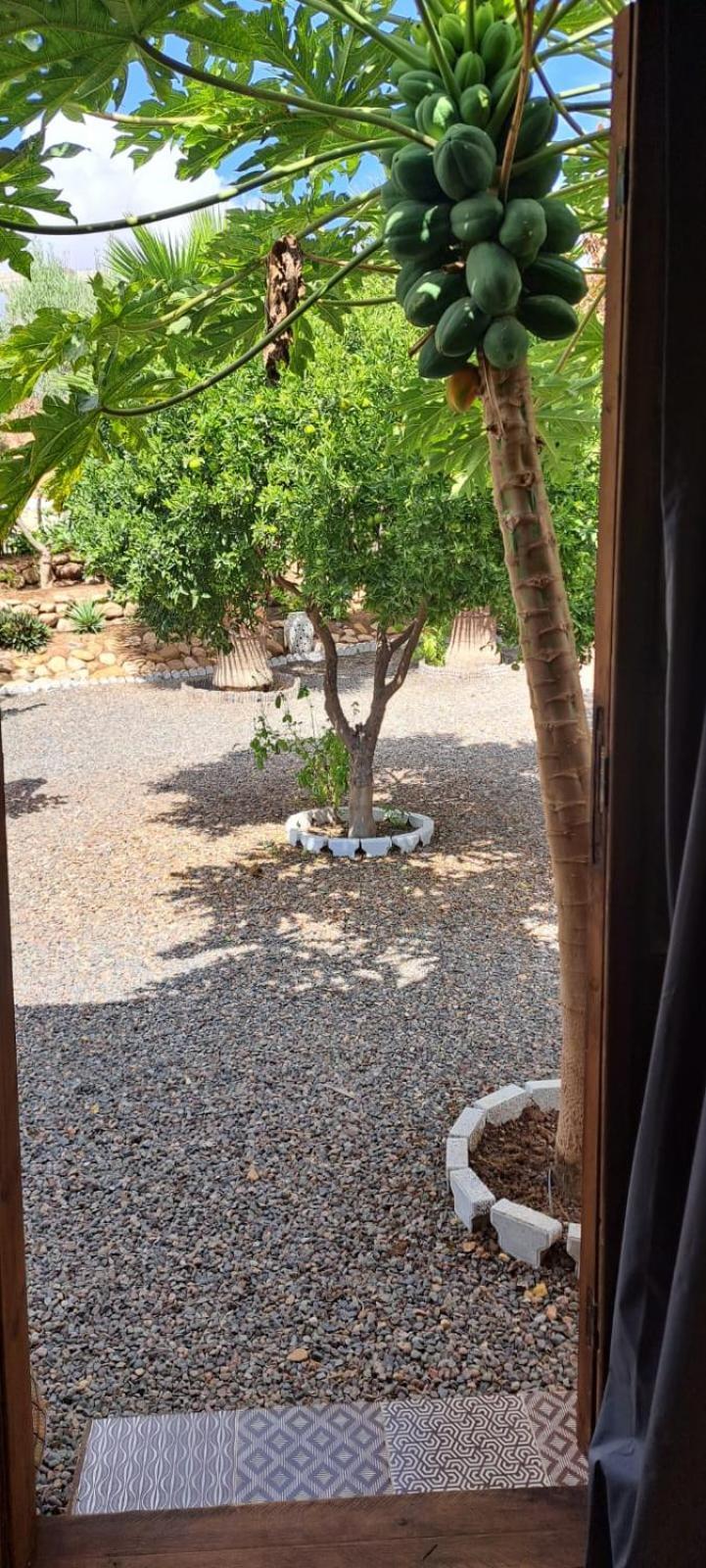 Riad Asmaa Agadir Azrarag Exterior foto